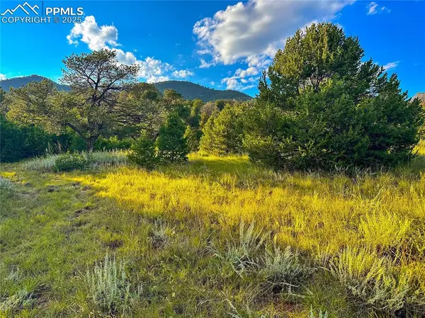 Colorado Springs, CO 80926,16116 Cala Rojo DR