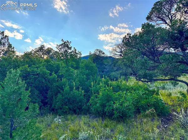 Colorado Springs, CO 80926,16116 Cala Rojo DR