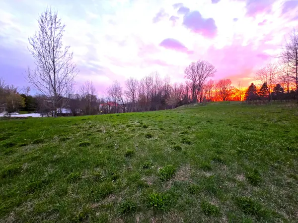 Chatsworth, ON N0H 2S0,n/a Alma ST