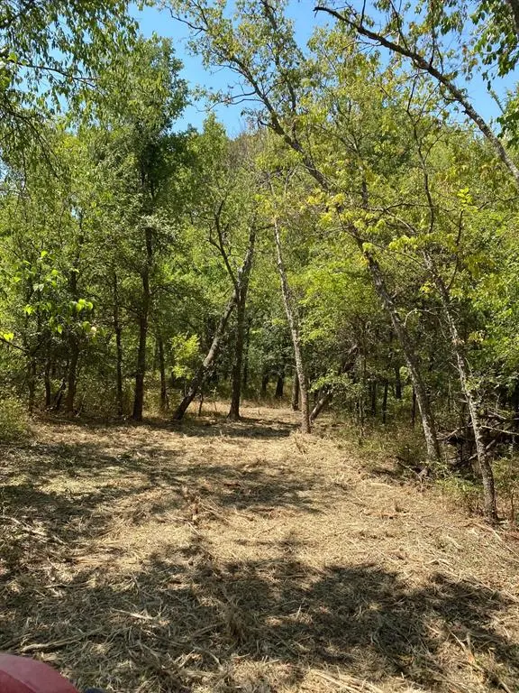 Prairie Hill, TX 76678,TBD W HWY 84