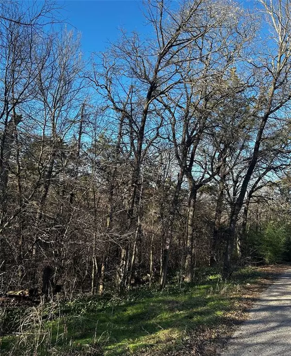 Gordonville, TX 76245,236, 237 STONE CIRCLE Drive