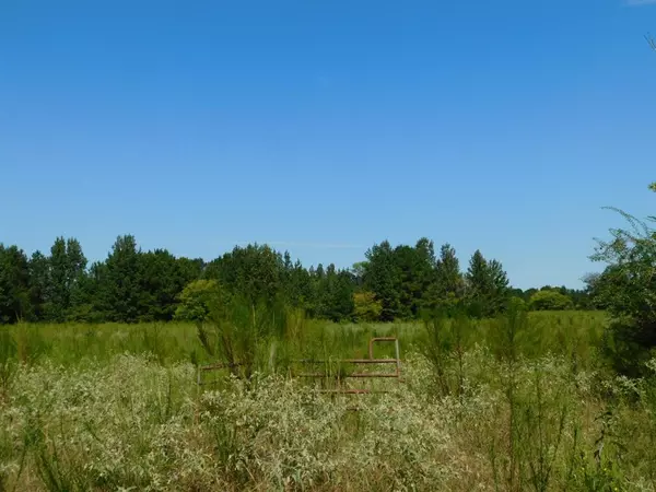 Sarepta, LA 71071,0 Cox Road