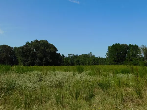 Sarepta, LA 71071,0 Cox Road