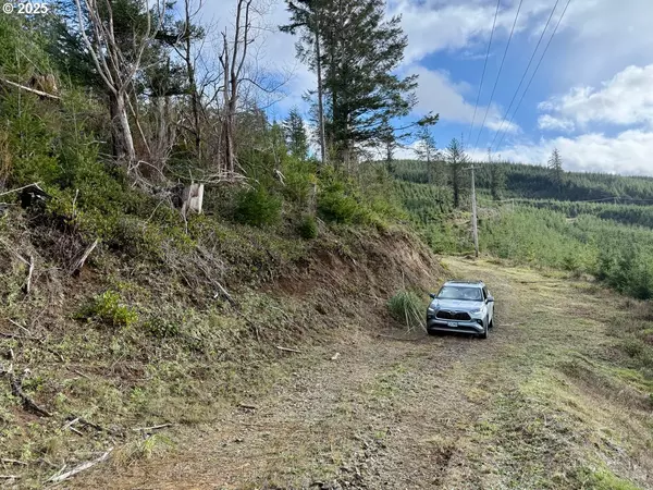 Florence, OR 97439,900 TL Off E. Gleneda Rd