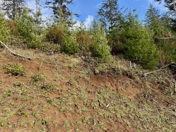 Florence, OR 97439,900 TL Off E. Gleneda Rd