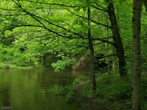 High Bridge Boro, NJ 08829,0 Beavers Street