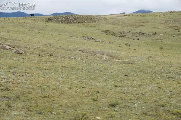 Hartsel, CO 80449,TBD High DR