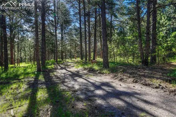 Monument, CO 80132,19953 Vista Clara LN