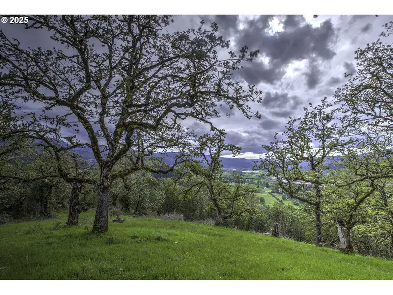 1263 YOKUM RD, Riddle, OR 97469