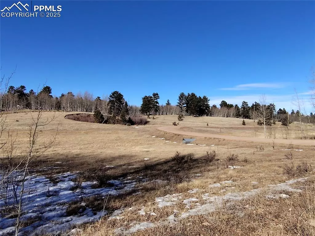 Florissant, CO 80816,29 Hidden Valley DR