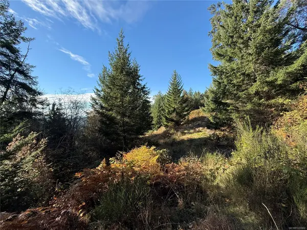 Gabriola Island, BC V0R 1X6,Lot 1 South Rd