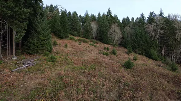 Gabriola Island, BC V0R 1X6,Lot 1 South Rd