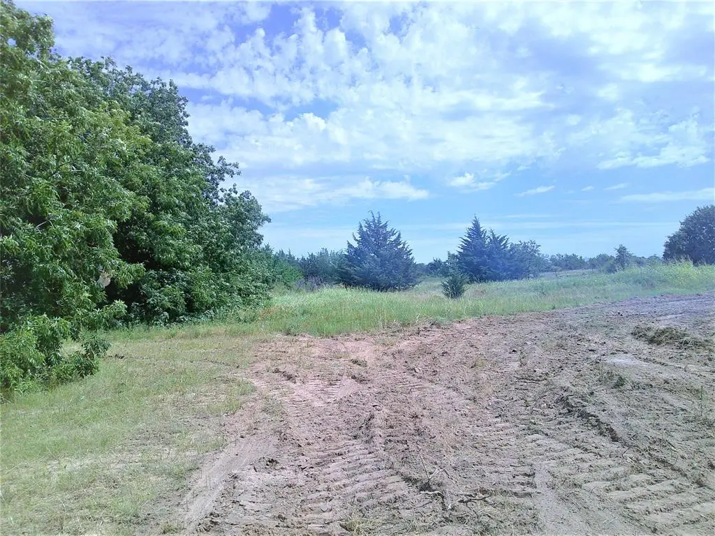 Montague, TX 76251,Tr 5 Border Street