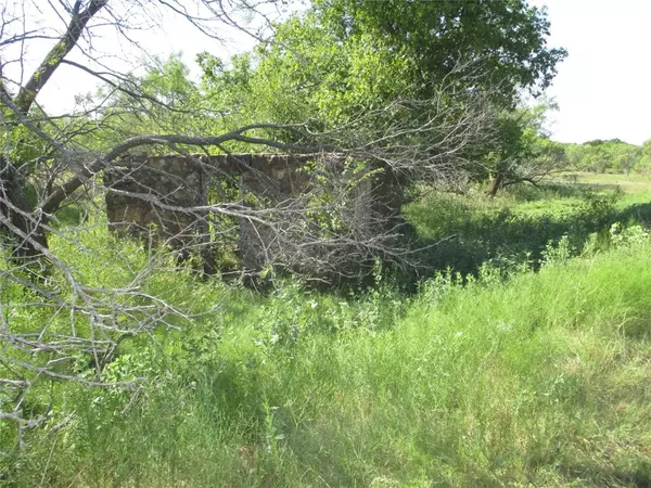 Bowie, TX 76230,30 AC Big Sandy