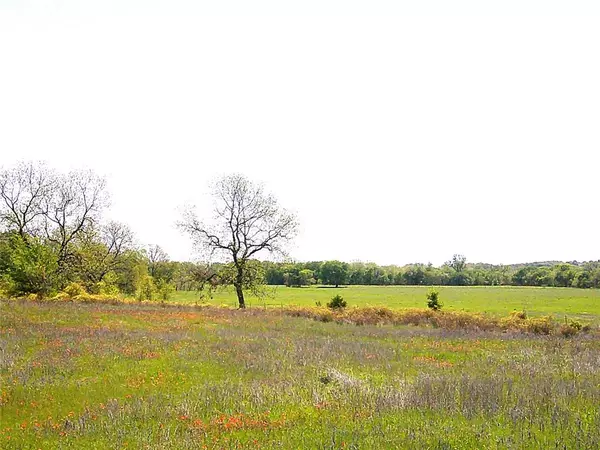 Saint Jo, TX 76265,55 AC Starr Mann