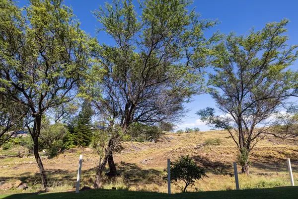 68-3907 PANIOLO AVE #503, Waikoloa, HI 96738