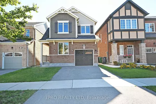 16 Stedford CRES #Bsmt, Brampton, ON L7A 4P5