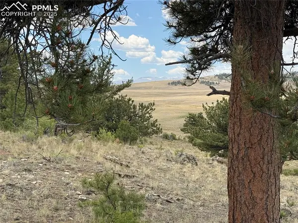 Hartsel, CO 80449,HoHoKan TRL