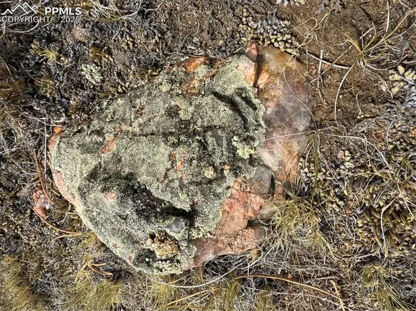 Hartsel, CO 80449,HoHoKan TRL