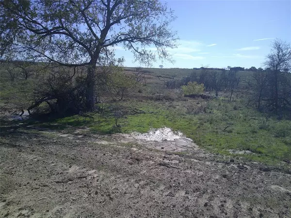 Bowie, TX 76230,Tr 5 4 Wire