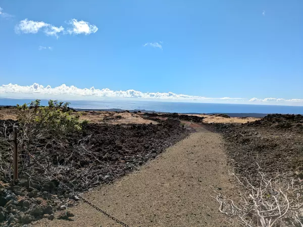 Ocean View, HI 96737,92-8327 TAPA DR