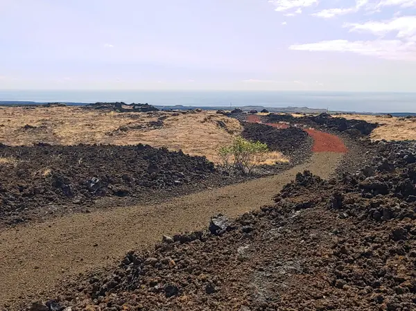 Ocean View, HI 96737,92-8327 TAPA DR