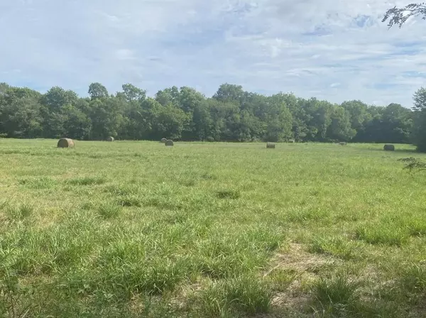 Deport, TX 75435,529 County Road 16060