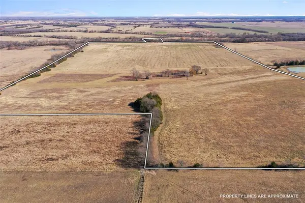 Blossom, TX 75416,0000 FM 13200