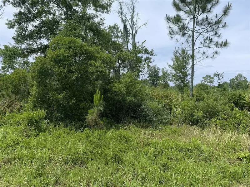 0 County RD 54 E, Kathleen, FL 33849