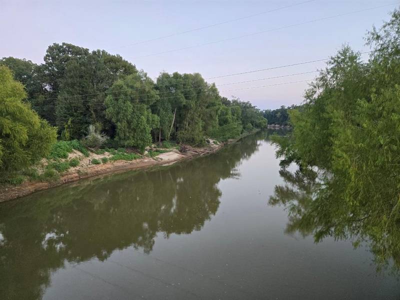 TBD-1 FM 2517, Carthage, TX 75633