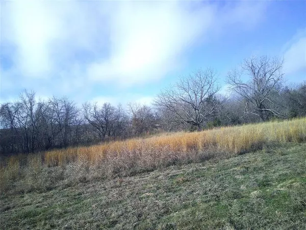 Saint Jo, TX 76265,Lot 10 Starr Mann