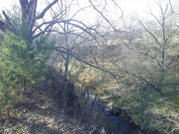 Saint Jo, TX 76265,Lot 10 Starr Mann