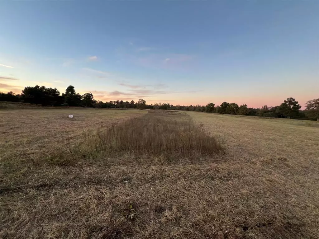 Centerville, TX 75833,tbd Pr 1315