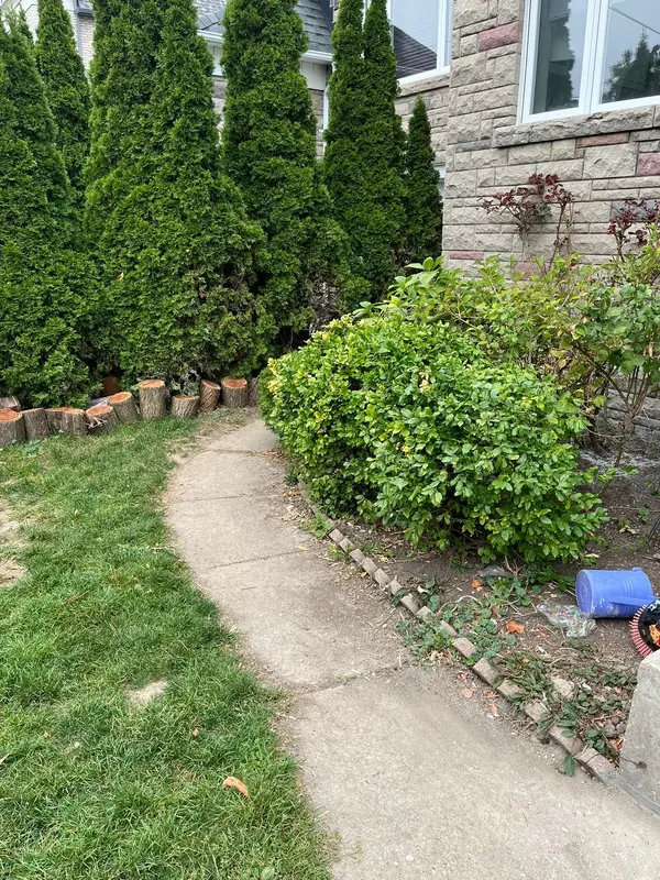 Toronto C04, ON M5N 1Z9,98 Frontenac AVE #1