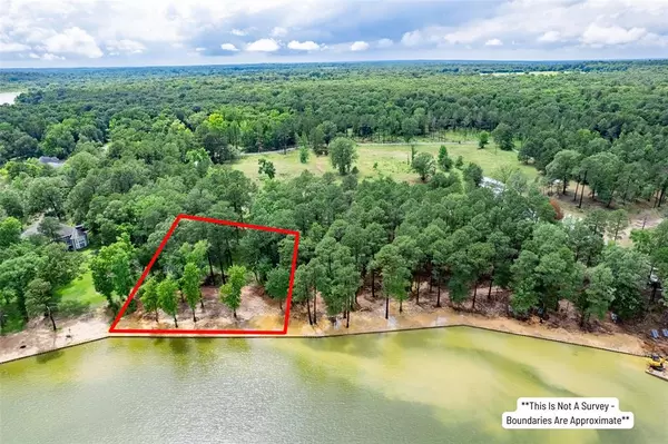 Lot 1 Ezelle Way, Scroggins, TX 75480