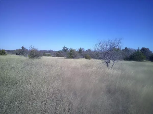 Chico, TX 76431,Tr 4W CR 1750