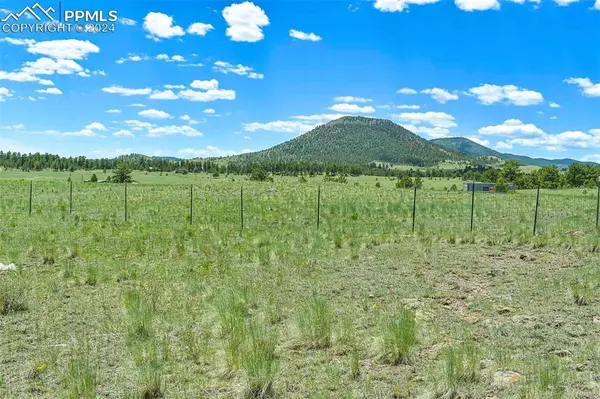 Guffey, CO 80820,56 View LN