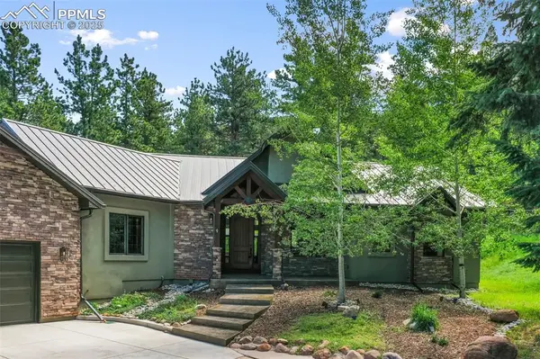 Woodland Park, CO 80863,1141 Royal Oak CT