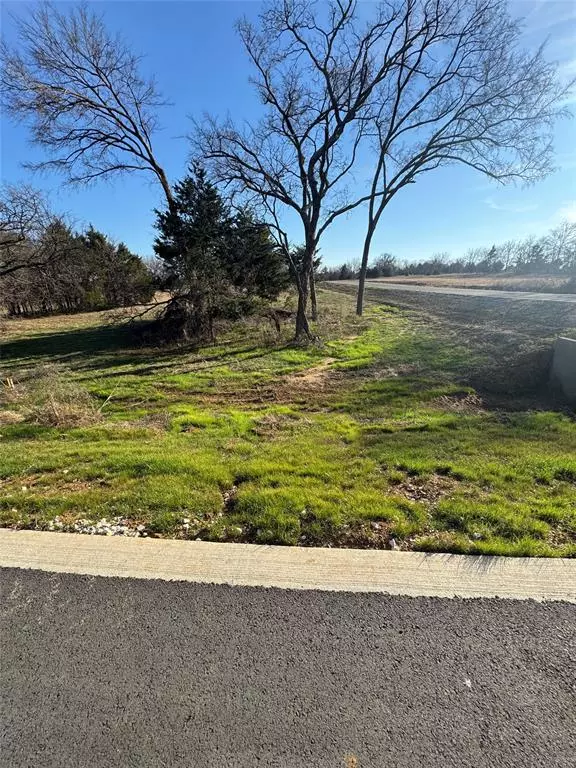 Lot 22 Medallion Club Street, Gordonville, TX 76245