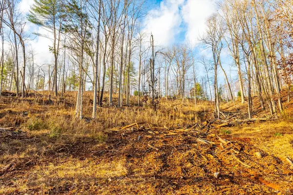 Monroe, VA 24574,0 Waughs Ferry Xing