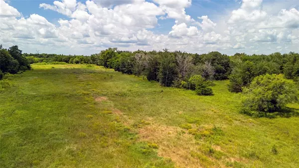 Wortham, TX 76693,Tract 9 FM-1366
