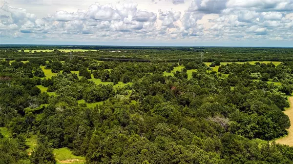 Wortham, TX 76693,Tract 9 FM-1366