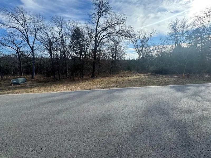 Lot 37 Dove Canyon Drive, Gordonville, TX 76245