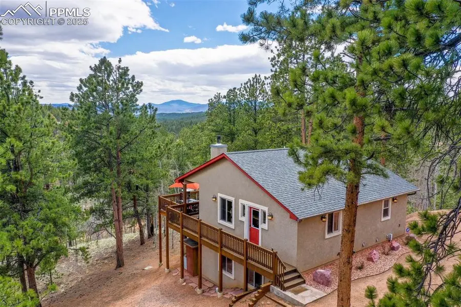 185 Wildcat Creek DR, Florissant, CO 80816