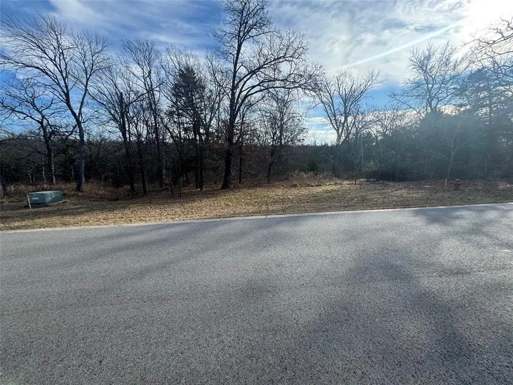 Gordonville, TX 76245,Lot 37 Dove Canyon Drive