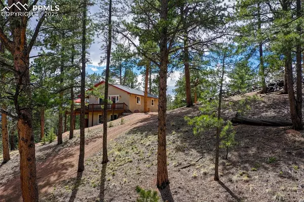 Florissant, CO 80816,185 Wildcat Creek DR