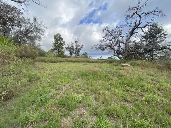 Ocean View, HI 96737,92-1473 WALAKA DR