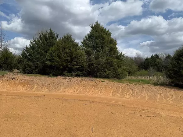 Coyote Flats, TX 76031,3552 FM 3136 LOT 13