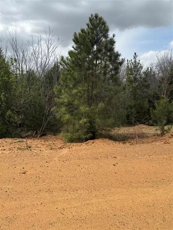 Coyote Flats, TX 76031,3552 FM 3136 LOT 3