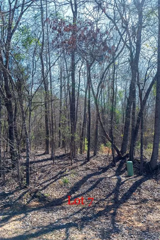 Hughes Springs, TX 75656,Lots 7,8,9 J Lazarine FM 130